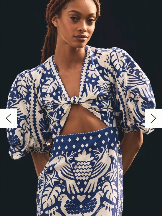 FARM Rio Blue and White Botanical Cutout Maxi Dress NWT Size Small - Picture 2 of 12